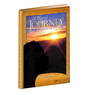 A Blessed Journey - Book