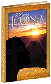 A Blessed Journey - Book